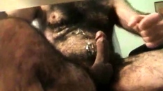 Very Hairy Man Cumming