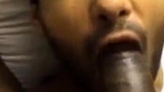 indian suck a black