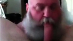 Bearded Daddy Sucks Big Cock