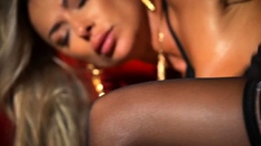 Group sex hardcore double blowjob swallowing cum
