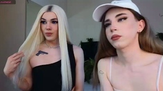 Amateur shemale tranny asshole fucked