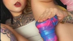 Amateur brunette ariana marie solo toying