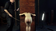 Femdom fetish bdsm ass toy humiliation