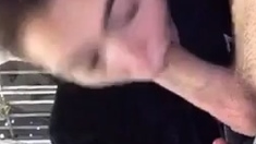 Big tit brunette sucks a big cock blowjob POV