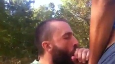 Big Cock Blowjob Outside