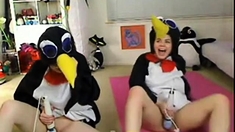 Teen penguins on cam