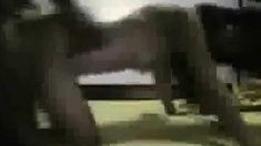 Bbc Crying Fuck